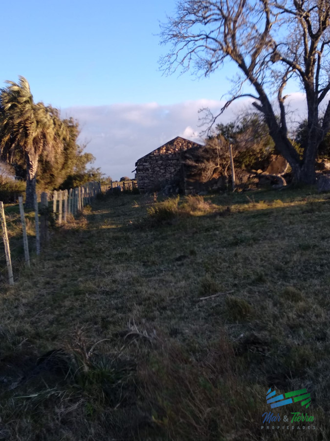 Campo Ref.3678 - 82 Has Cerca de Pueblo Edén y R.12