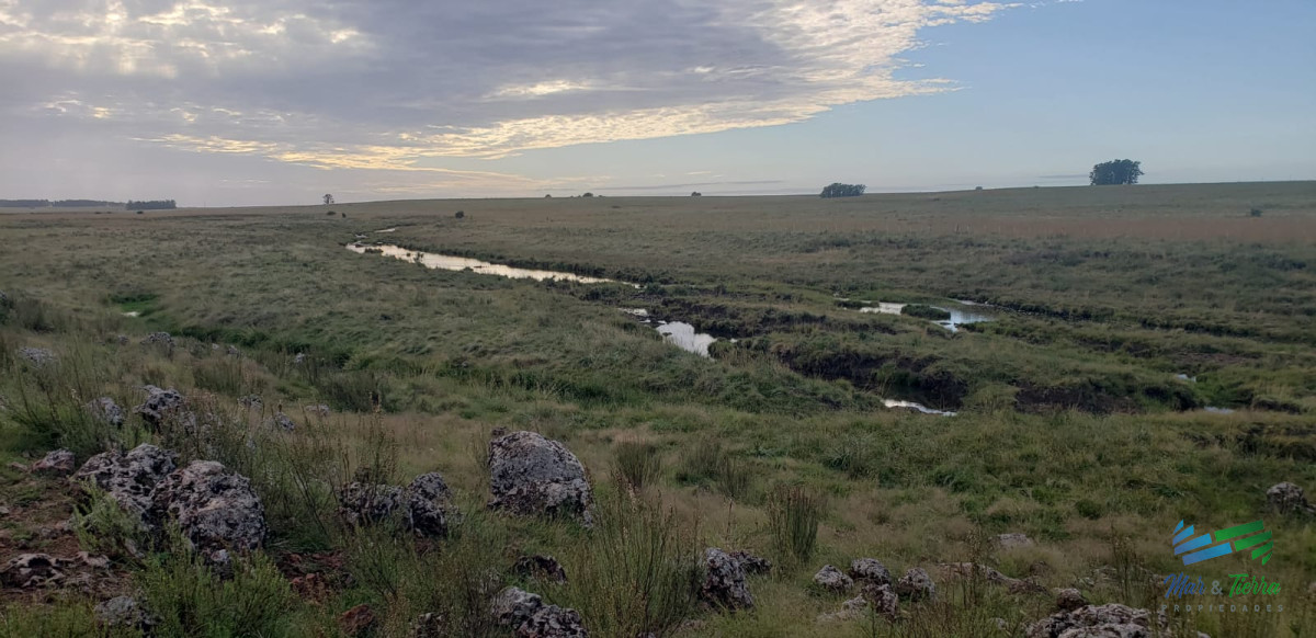 Campo Ref.5460 - Campo Mixto Agrícola-Ganadero, muy buena ubicación a 1 hora 20 min de Mdeo!