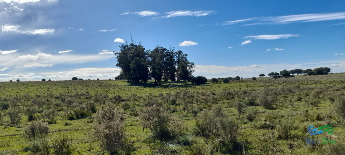 Campo Ref.4416 - Buen campo agrícola, muy bien ubicado. 83 Has