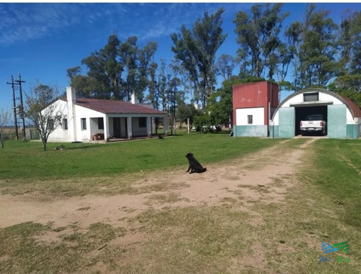 Campo Ref.4401 - Campo Arrocero-Ganadero 1.636 Has sobre Ruta