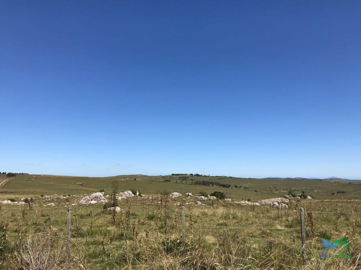 Campo Ref.3869 - Vendo campo 30 ha a 4 km de ruta 12. Maldonado