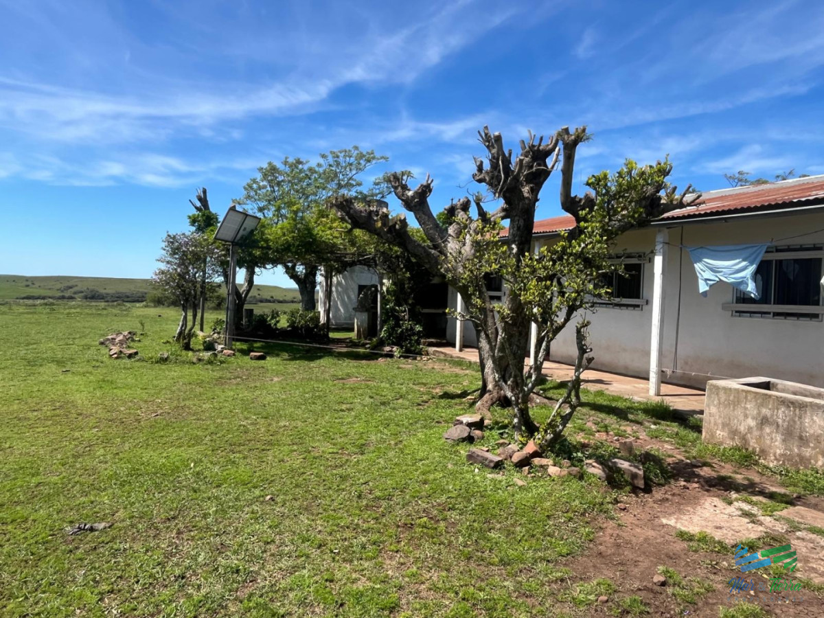 Campo Ref.5734 - Campo ganadero a buen precio!