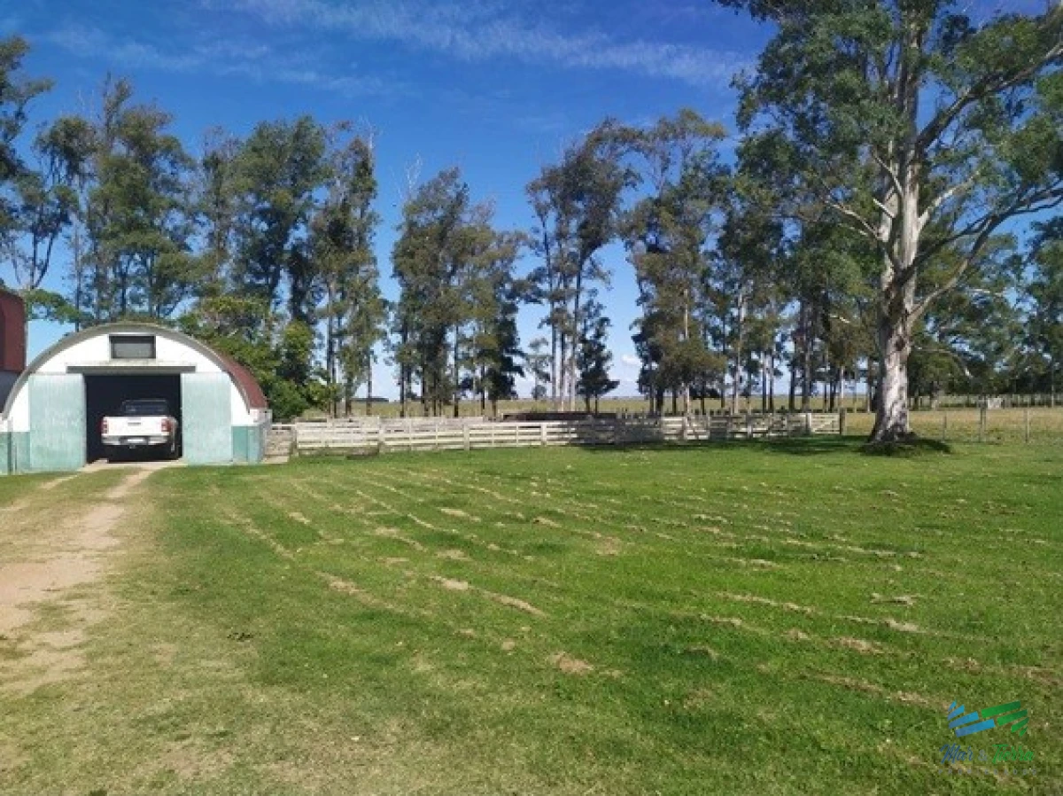 Campo Ref.4401 - Campo Arrocero-Ganadero 1.636 Has sobre Ruta