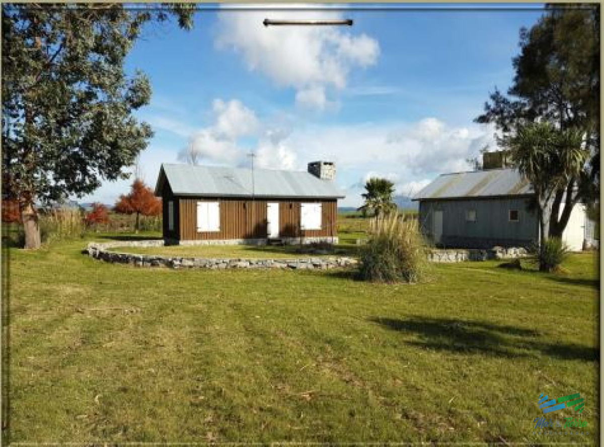 Campo Ref.3984 - 370 Has ganaderas, muy cerca de Punta, arroyo y monte nativo. Excelente ubicación !