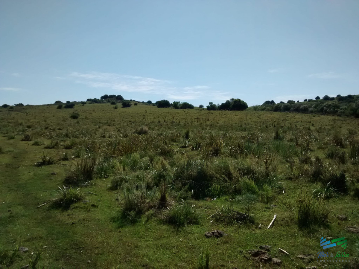 Campo Ref.4408 - Lindo campo ganadero de 78 Has muy bien ubicado, muy pintoresco.