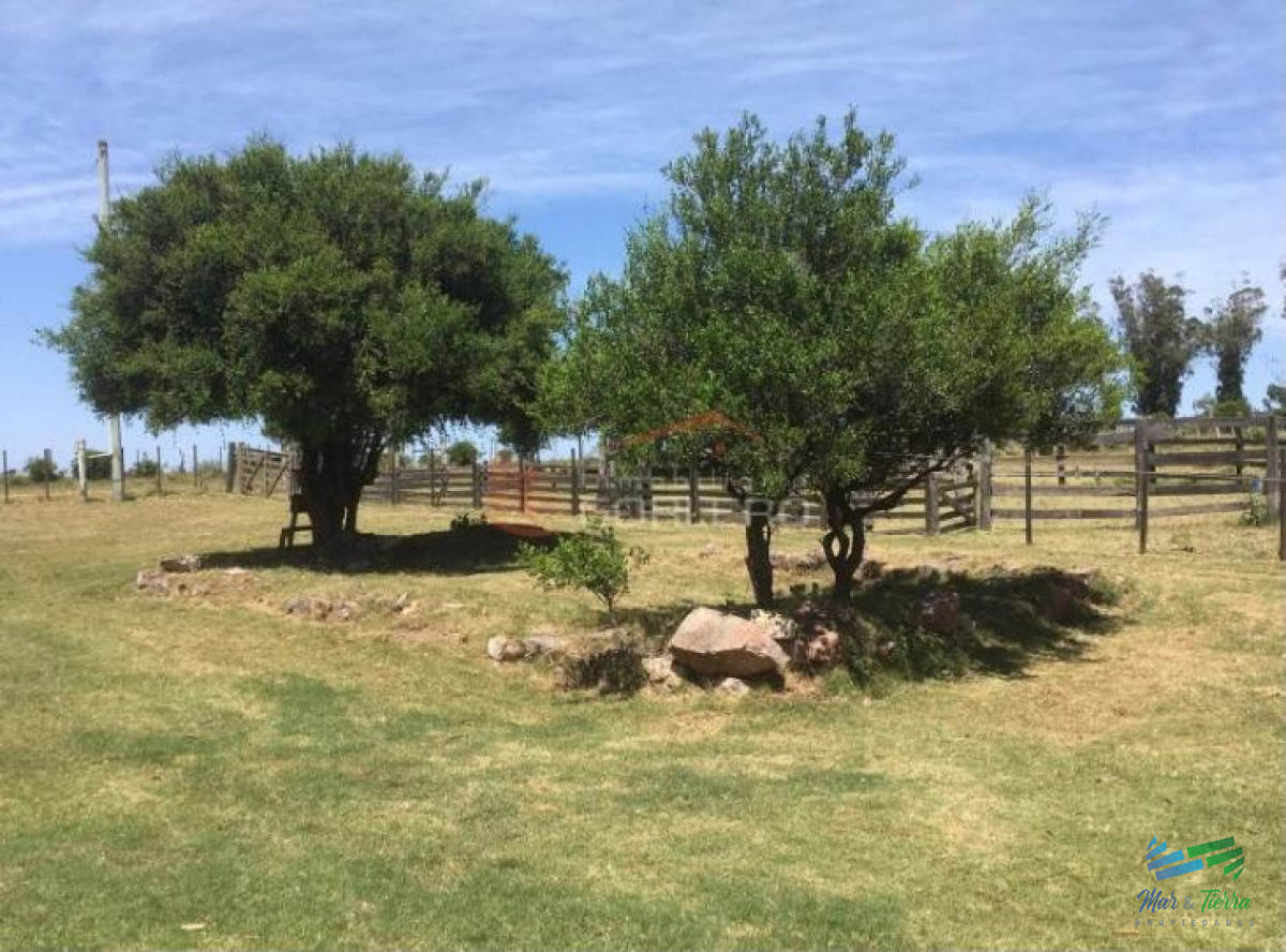 Campo Ref.3677 - 85 Has con casa a 30 minutos de Punta y 1 hora de Mdeo