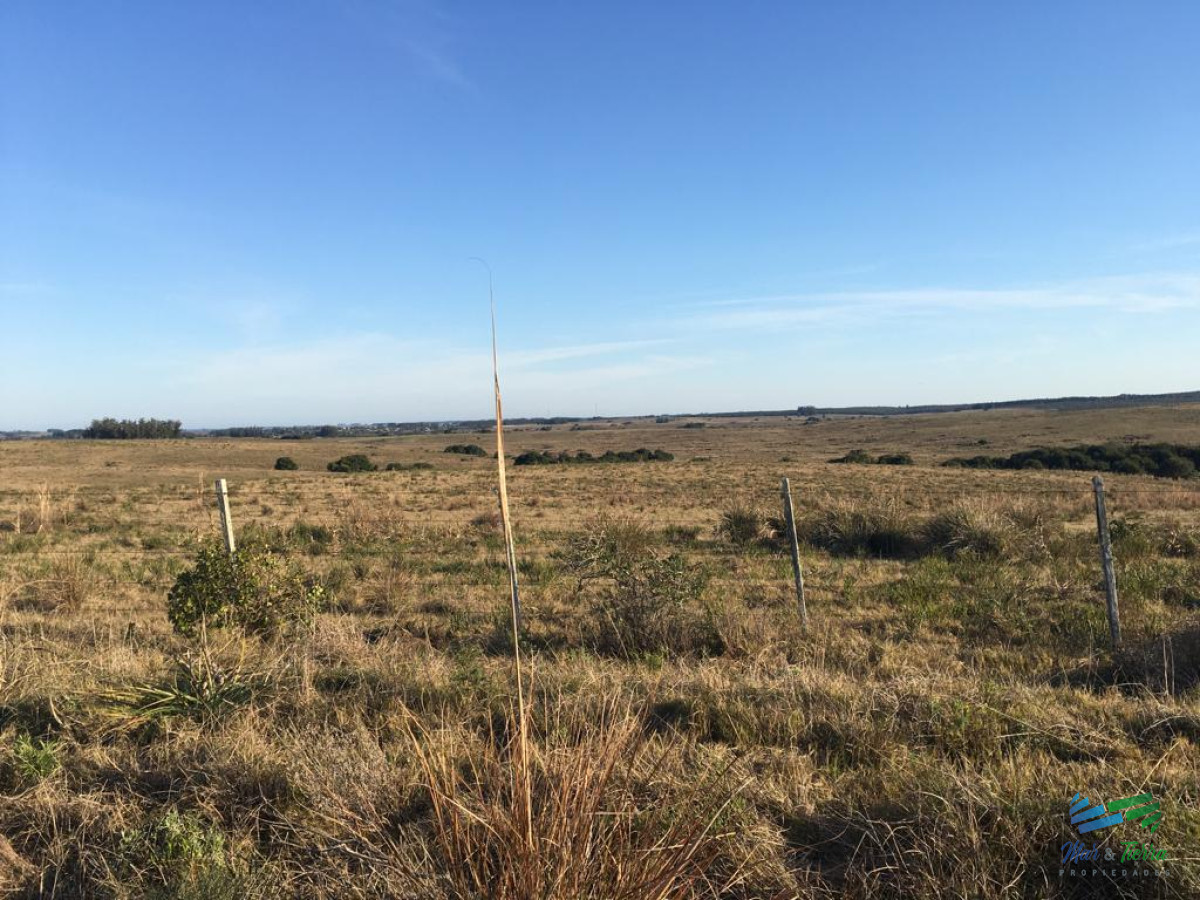 Campo Ref.4058 - 104 Has en Garzon