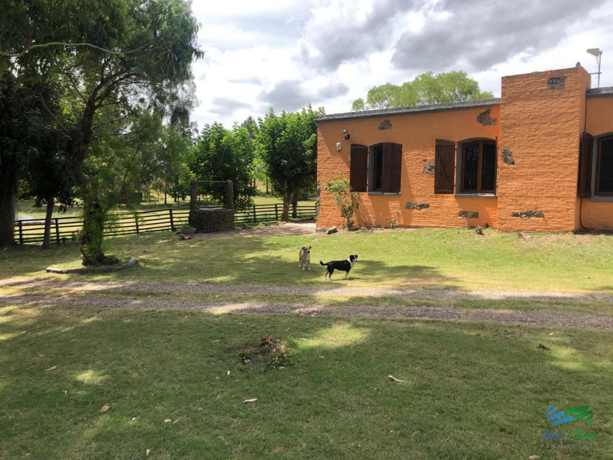 Campo Ref.4381 - Establecimiento Completo a 30 minutos de Punta, no se lo pierda !