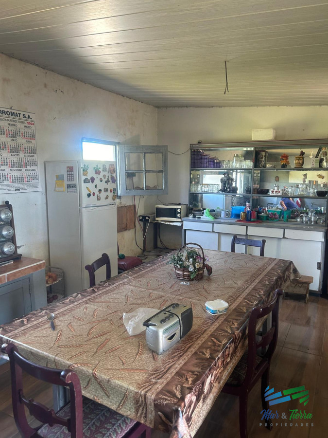 Campo Ref.5081 - 577 Has Campo Ganadero - Forestal