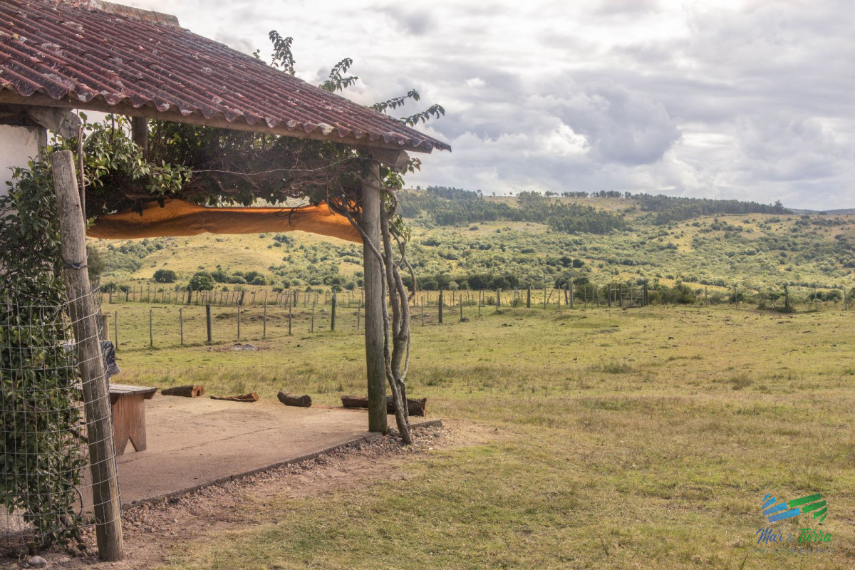 Campo Ref.4410 - Muy buen campo mixto Ganadero-Forestal de 690 Has y bien ubicado