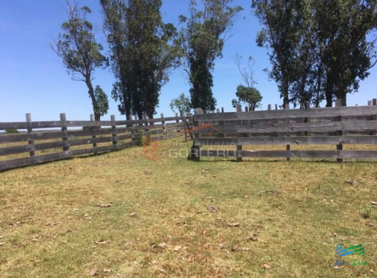 Campo Ref.3677 - 85 Has con casa a 30 minutos de Punta y 1 hora de Mdeo