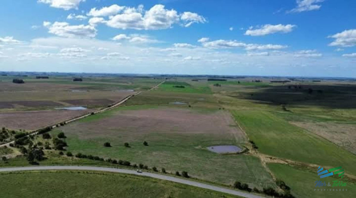 Campo Ref.5190 - 150 Has Campo Agrícola Ganadero a tan solo 10 Kms de Florida (Bajo de Precio) !