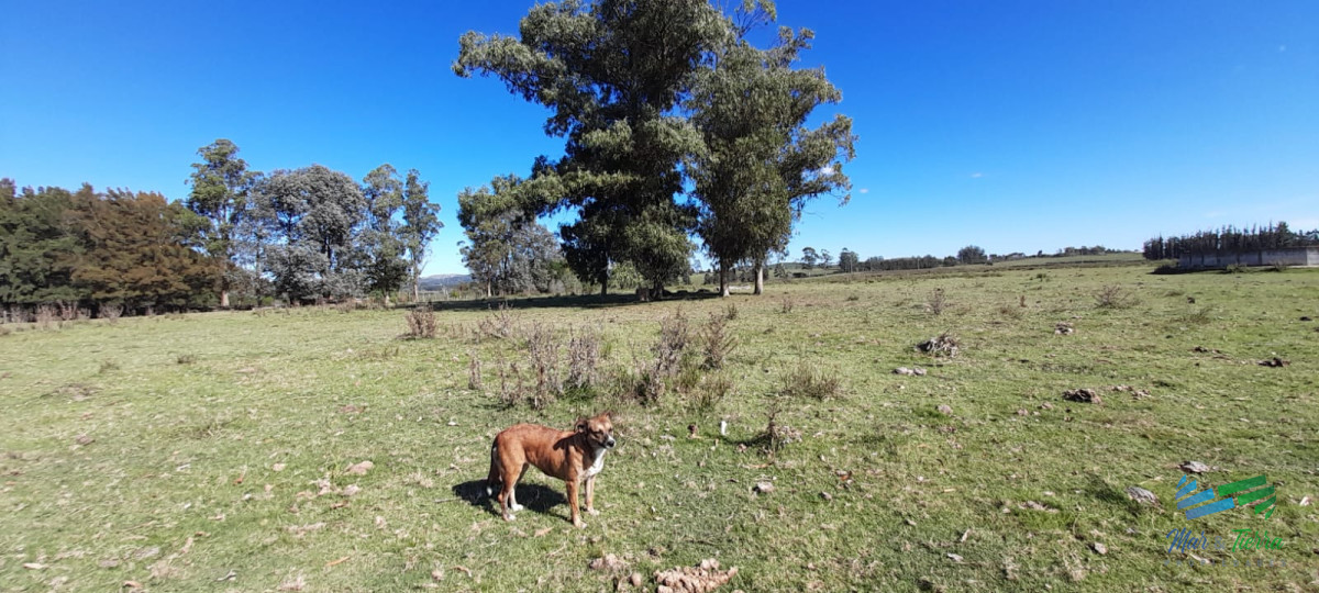 Campo Ref.4416 - Buen campo agrícola, muy bien ubicado. 83 Has