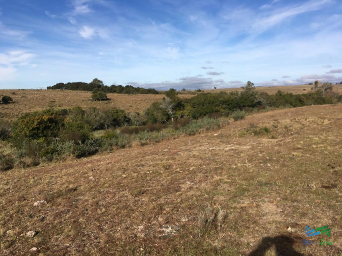 Campo Ref.4057 - 47 Has a 20 minutos Jose Ignacio y 3 kms de R.9