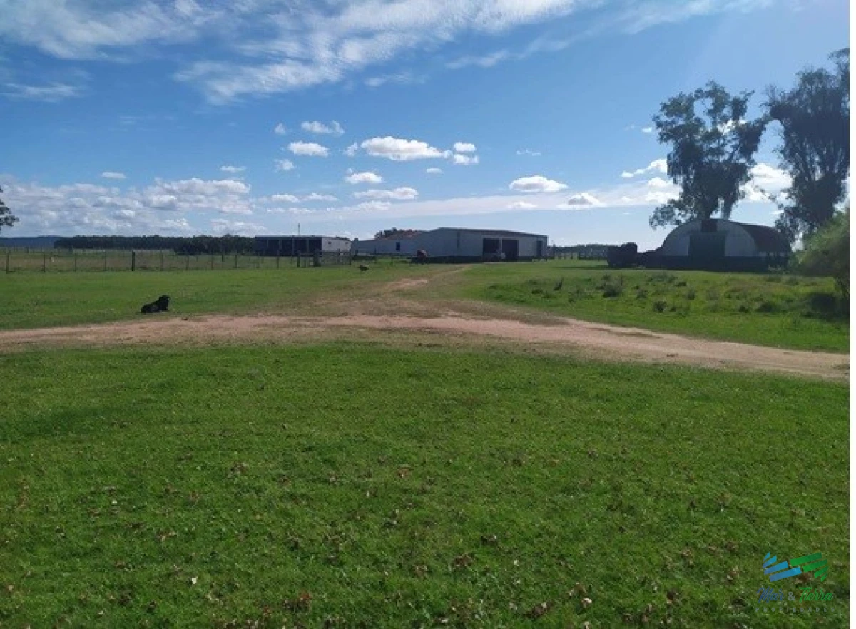 Campo Ref.4401 - Campo Arrocero-Ganadero 1.636 Has sobre Ruta