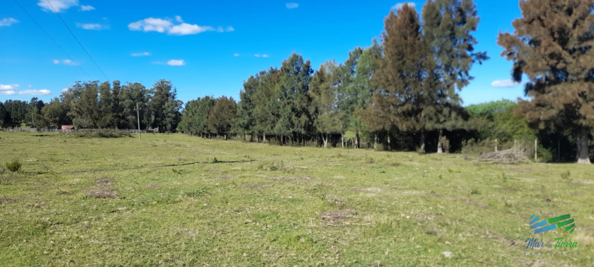 Campo Ref.4381 - Establecimiento Completo a 30 minutos de Punta, no se lo pierda !