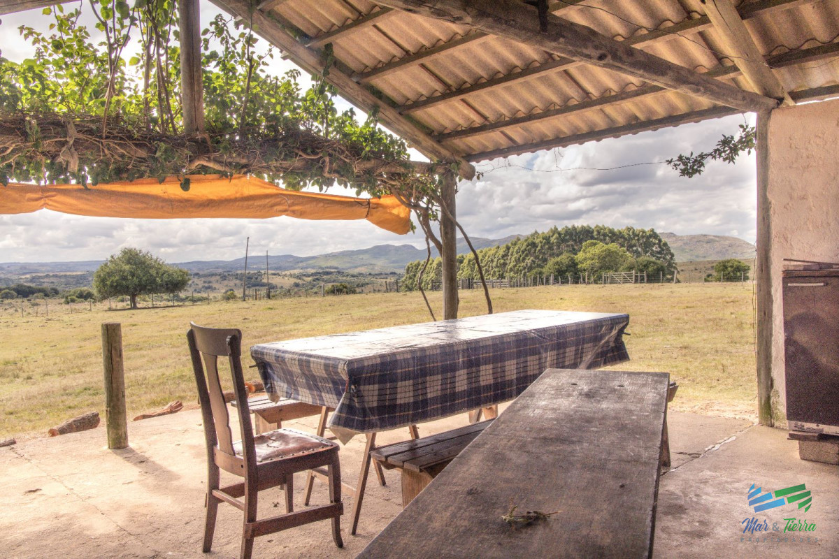 Campo Ref.4410 - Muy buen campo mixto Ganadero-Forestal de 690 Has y bien ubicado