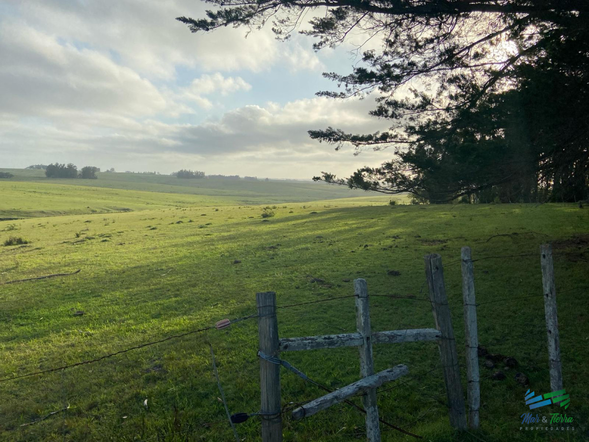 Campo Ref.4636 - Precioso Campito de 80 Has a 15 minutos del mar y sobre asfalto, DESESTRESATE !