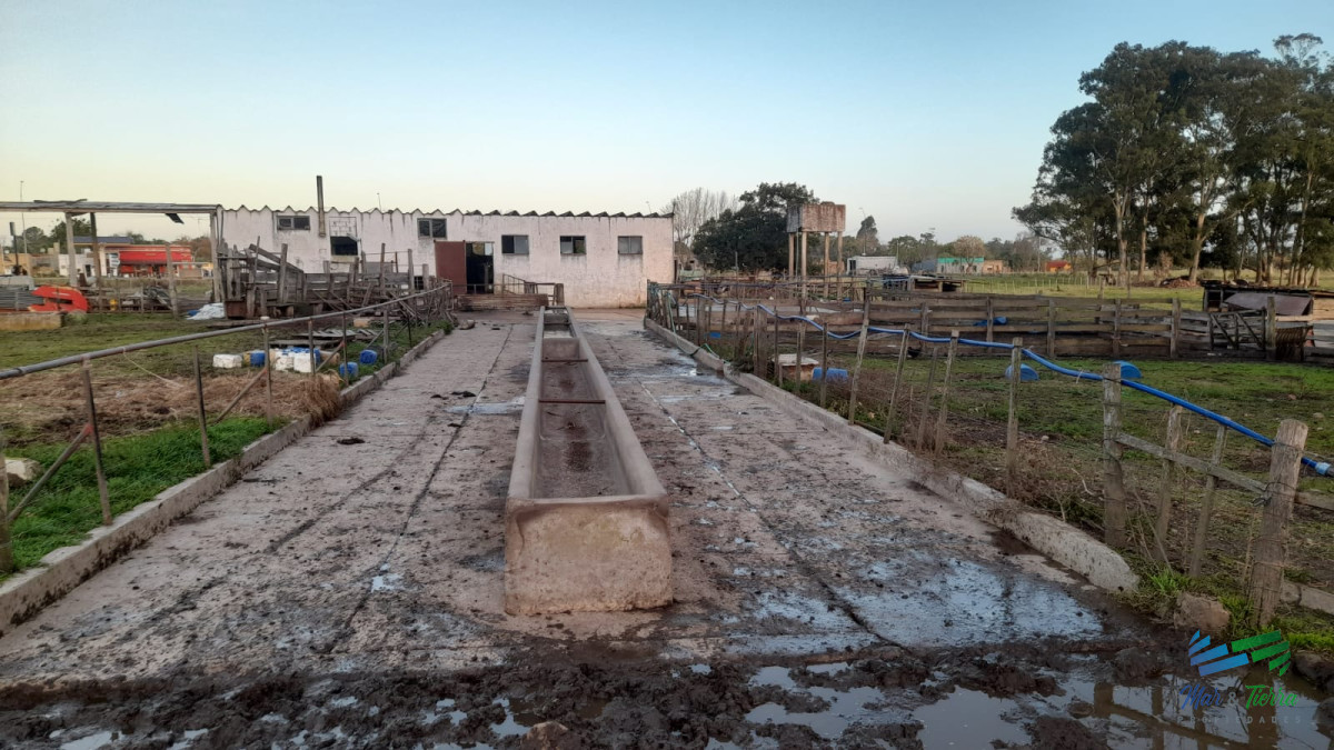 Campo Ref.3681 - 128 Has Agrícola-Ganaderas sobre Ruta 9 (Tambo)