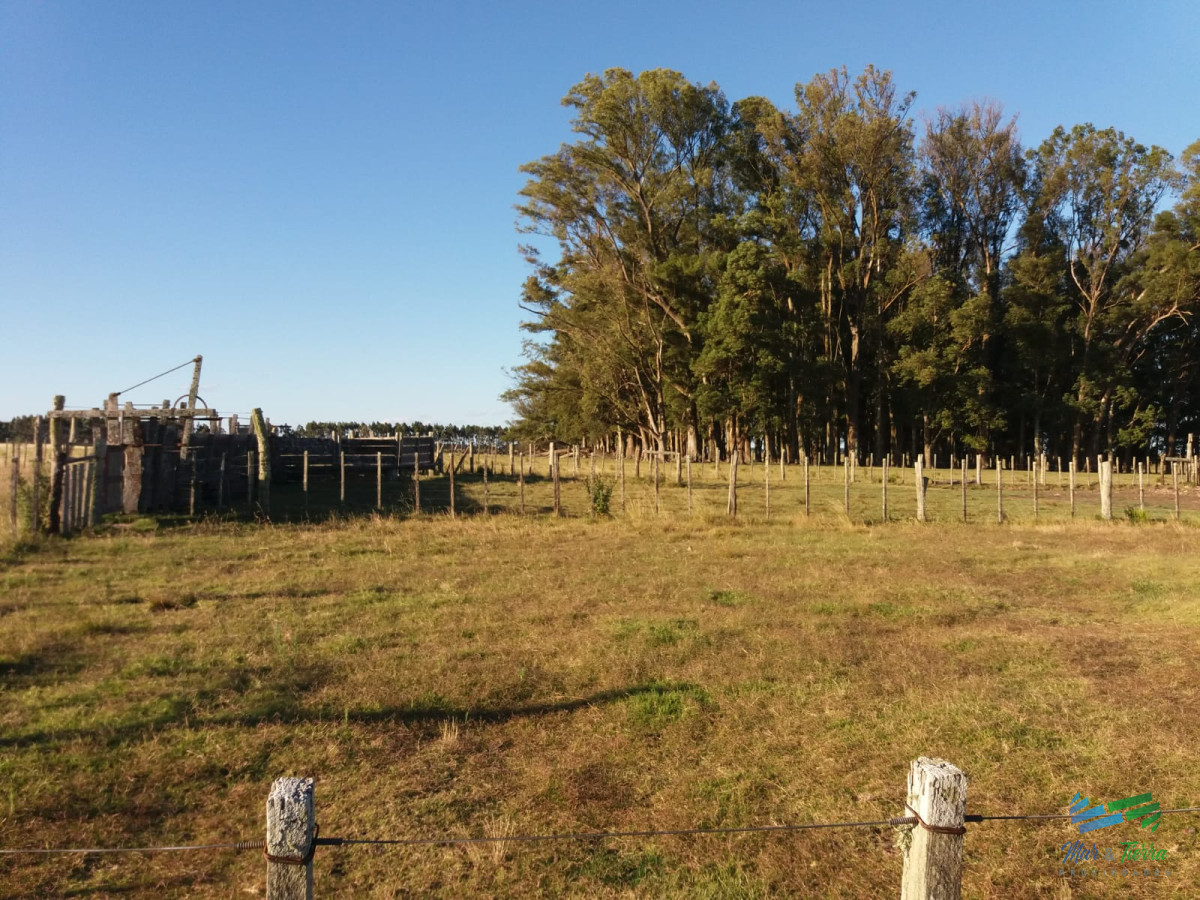 Campo Ref.3743 - 583 Has Ganaderas Especiales...!