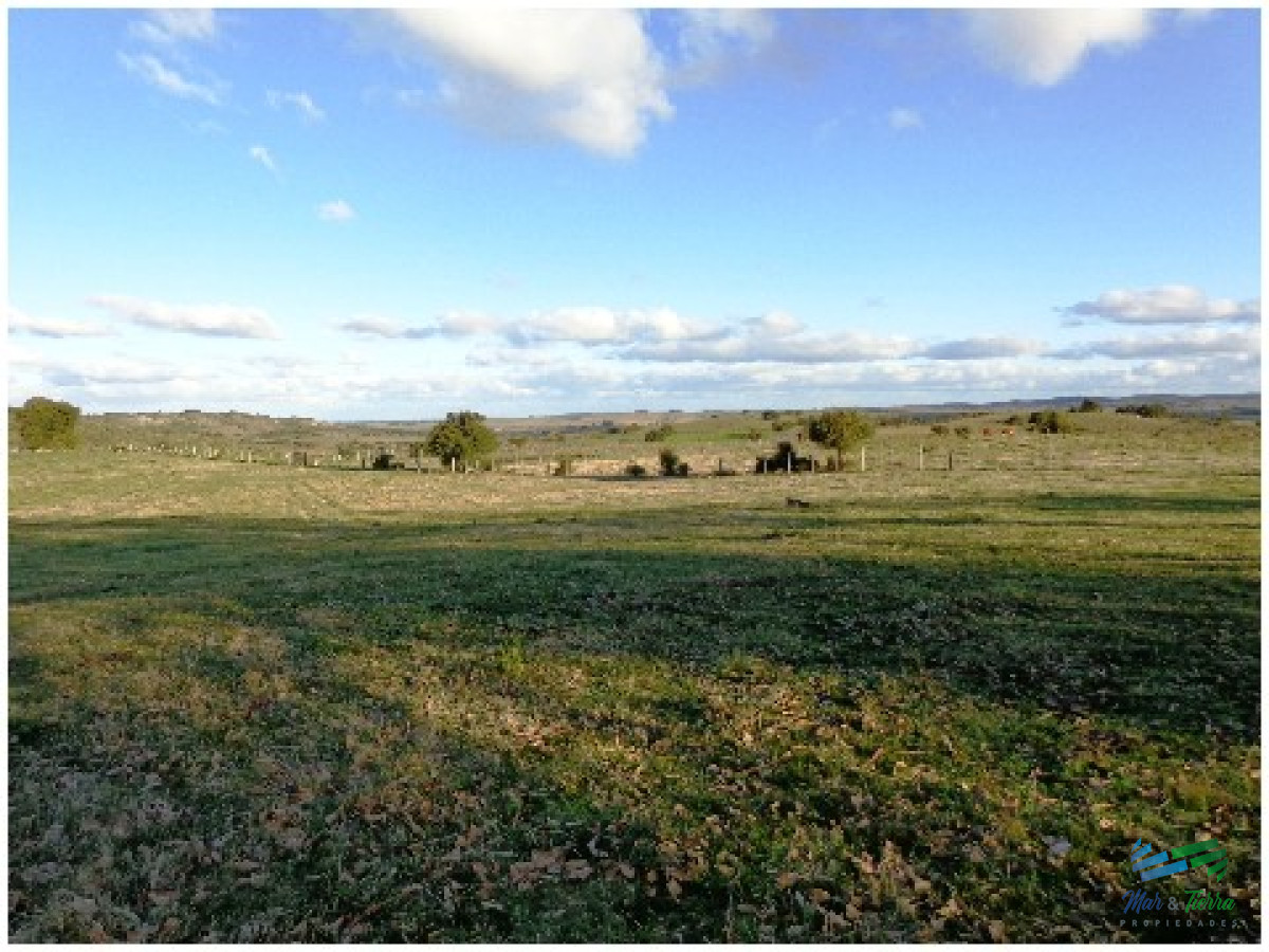 Campo Ref.4113 - 51 Has Campo Secreto