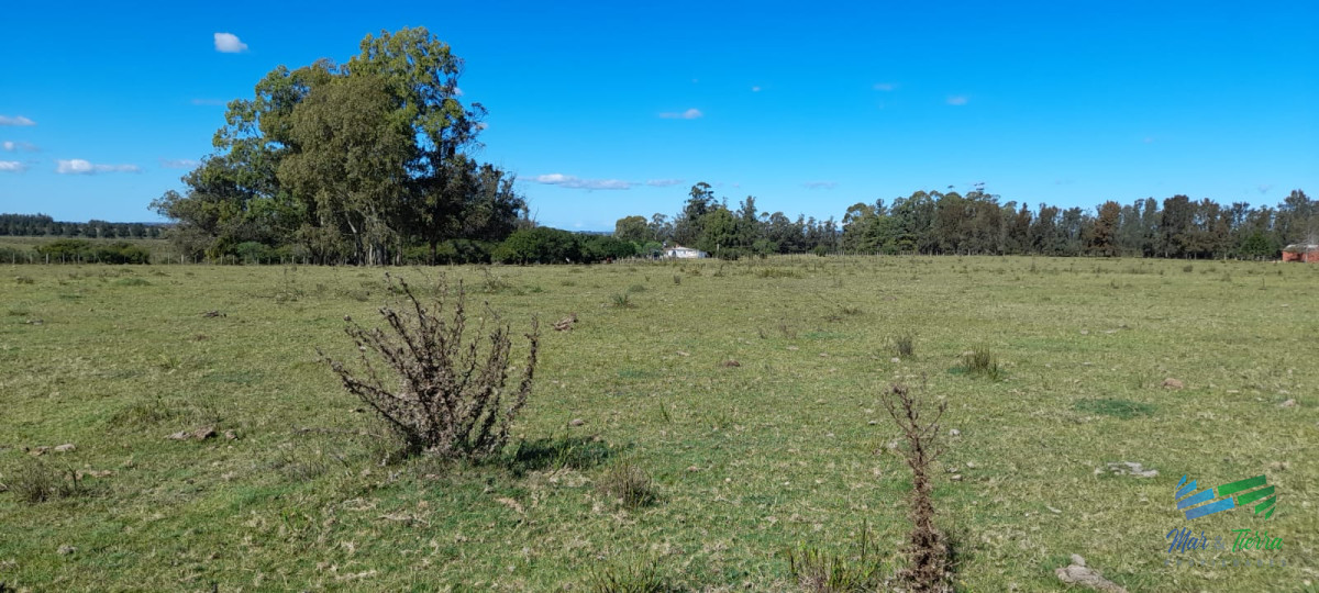 Campo Ref.4416 - Buen campo agrícola, muy bien ubicado. 83 Has
