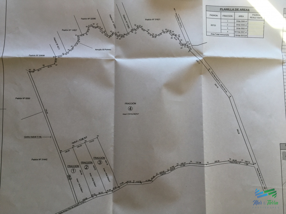Campo Ref.3862 - 198 Has sobre Ruta 12, Arroyo, Monte Nativo a 15 kms de P. Edén