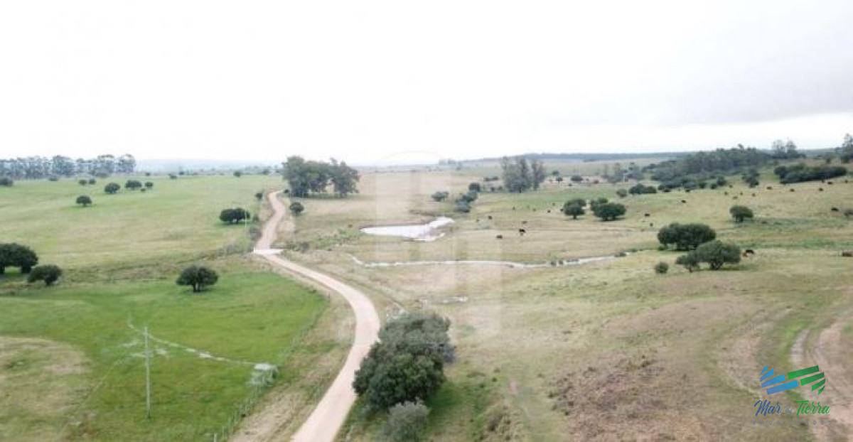 Campo Ref.4122 - 108 Has en venta a portera cerrada, Única por ubicación y mejoras, establecimiento completo !