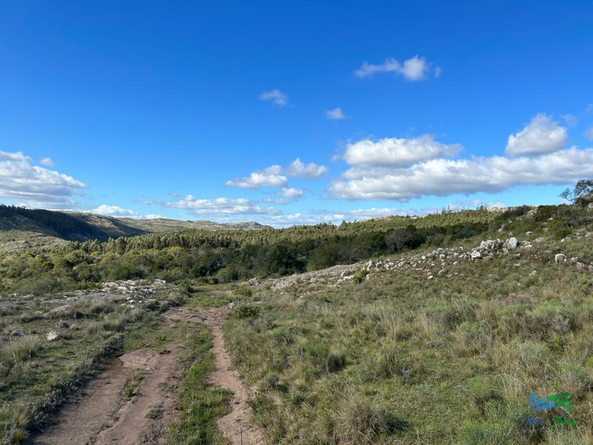 Campo Ref.4336 - Lindo campo para fraccionar, sobre ruta y a poco mas de 1 hora de Punta
