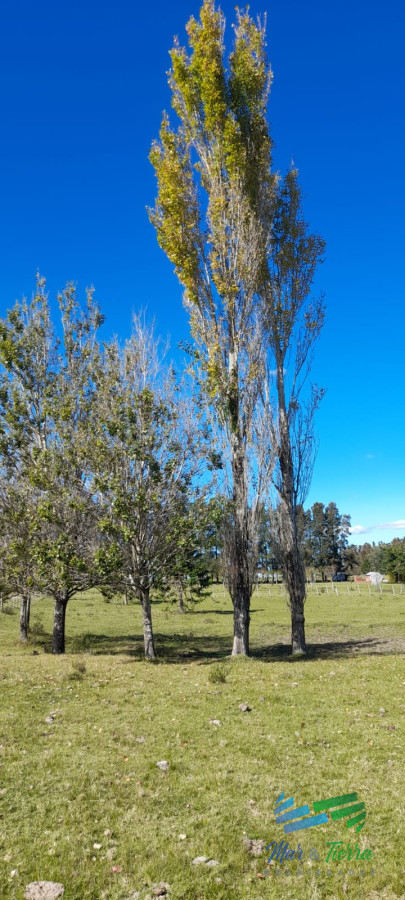 Campo Ref.4381 - Establecimiento Completo a 30 minutos de Punta, no se lo pierda !