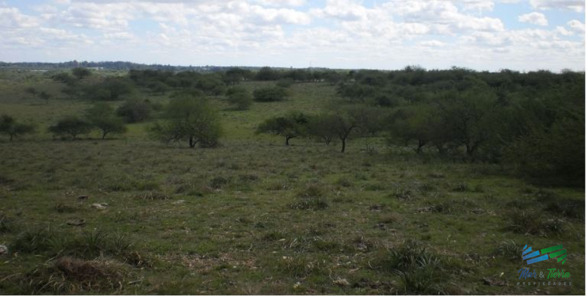 Campo Ref.4071 - 815 Has Campo Mixto con costa Rio Uruguay.