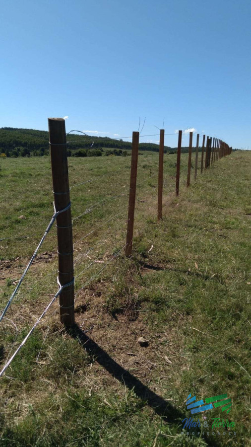 Campo Ref.4502 - Linda fracción de campo ganadero con aptitud forestal