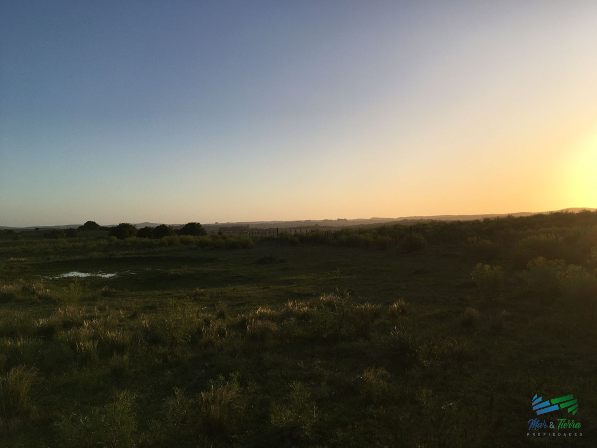 Campo Ref.4408 - Lindo campo ganadero de 78 Has muy bien ubicado, muy pintoresco.