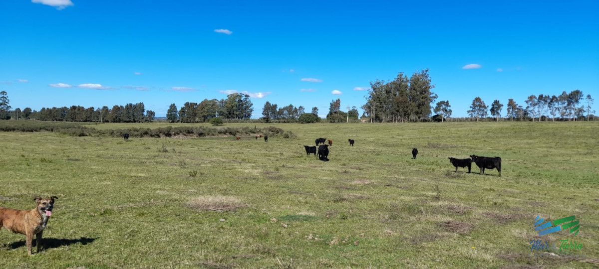 Campo Ref.4381 - Establecimiento Completo a 30 minutos de Punta, no se lo pierda !