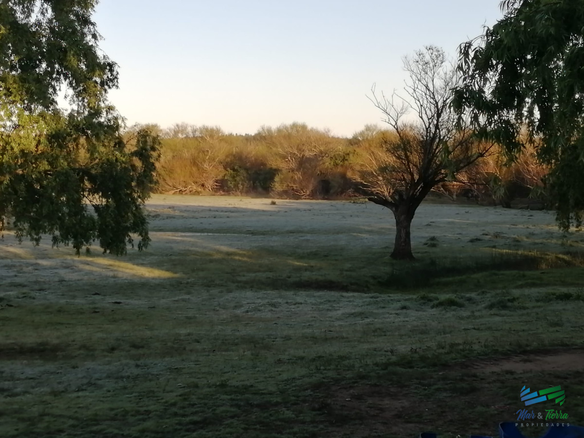 Campo Ref.5149 - 950 Has Campo Mixto Ganadero - Forestal en Durazno
