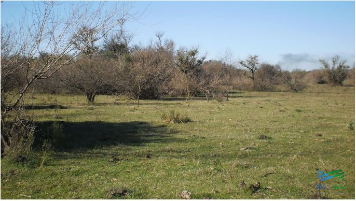 Campo Ref.4071 - 815 Has Campo Mixto con costa Rio Uruguay.