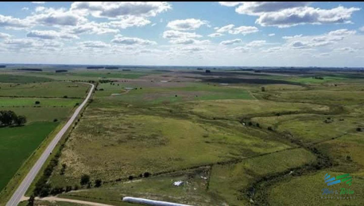 150 Has Campo Agrícola Ganadero a tan solo 10 Kms de Florida - GoPunta - Portal Inmobiliario de Punta del Este - Maldonado