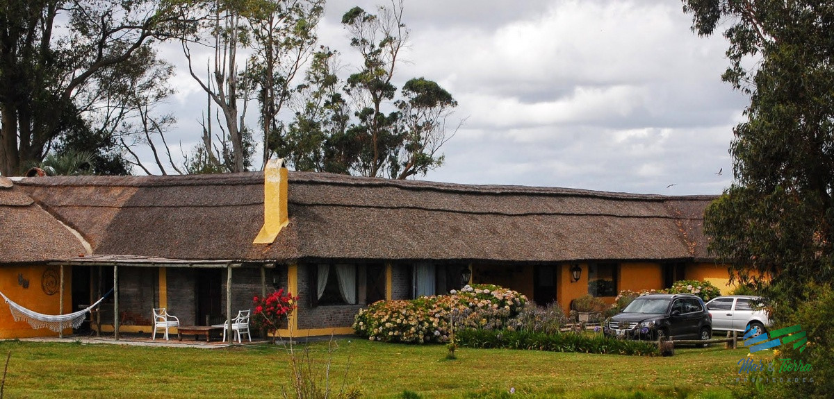 Campo Ref.3688 - Excelente campo turístico Ganado y Olivos, cerca de J. Ignacio