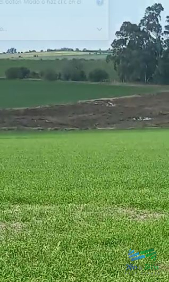 Campo Ref.4325 - Excelente ubicación, Campo Mixto a poca distancia de Mercedes, todo hecho a  nuevo !