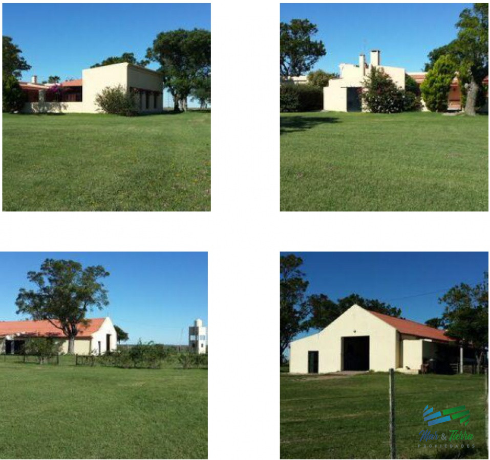 Campo Ref.4199 - Estancia completa, campo Agrícola-Ganadero-Forestal, buen precio !