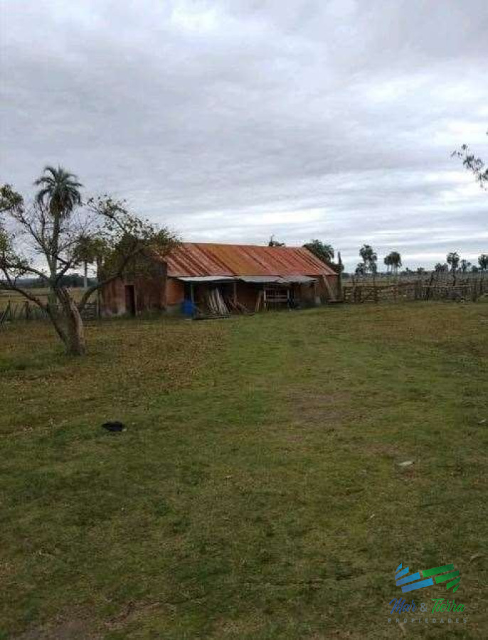 Campo Ref.4503 - Buen campo ganadero con muy buen acceso sobre ruta