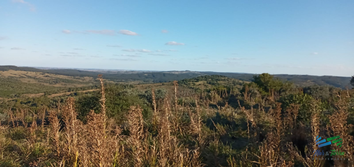 Campo Ref.3898 - 76 Has Campo en Sierras de Garzón