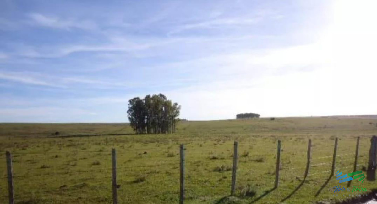 172 Has Campo ganadero Ruta 14 y Ruta 9 - GoPunta - Portal Inmobiliario de Punta del Este - Maldonado