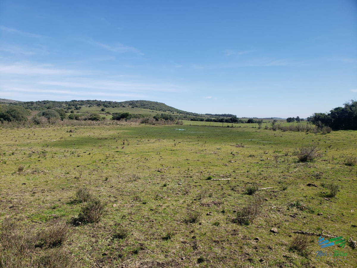 Campo Ref.4423 - 322 Has Ganaderas, Lindo Campo Criador.