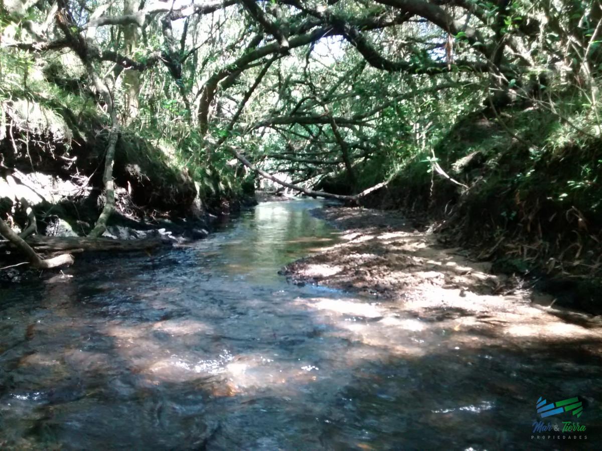 Campo Ref.4409 - Pintoresco campo Ganadero muy bien ubicado.