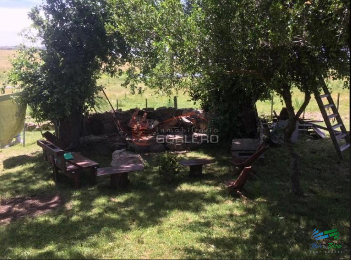 Campo Ref.3677 - 85 Has con casa a 30 minutos de Punta y 1 hora de Mdeo