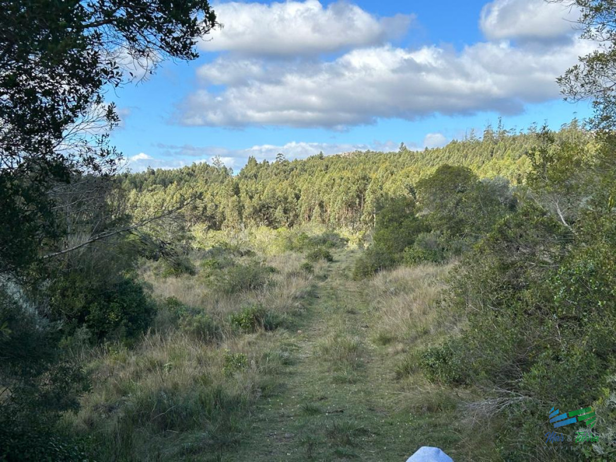 Campo Ref.4336 - Lindo campo para fraccionar, sobre ruta y a poco mas de 1 hora de Punta