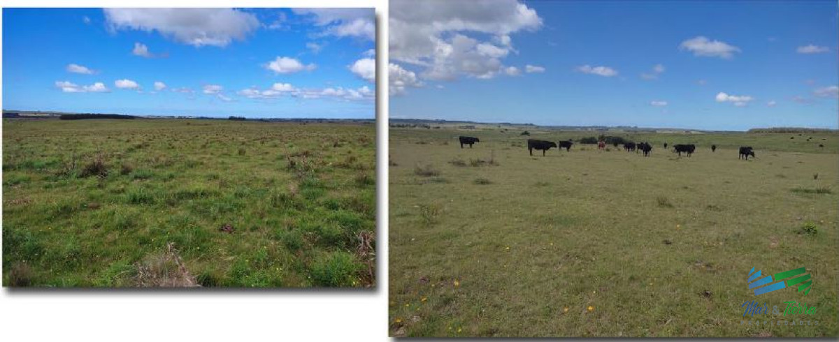 Campo Ref.4484 - 60 Has a tan solo 5 Kms de Garzón