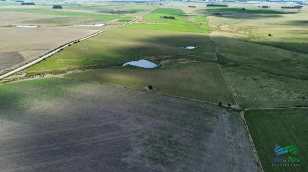 Campo Ref.5190 - 150 Has Campo Agrícola Ganadero a tan solo 10 Kms de Florida (Bajo de Precio) !