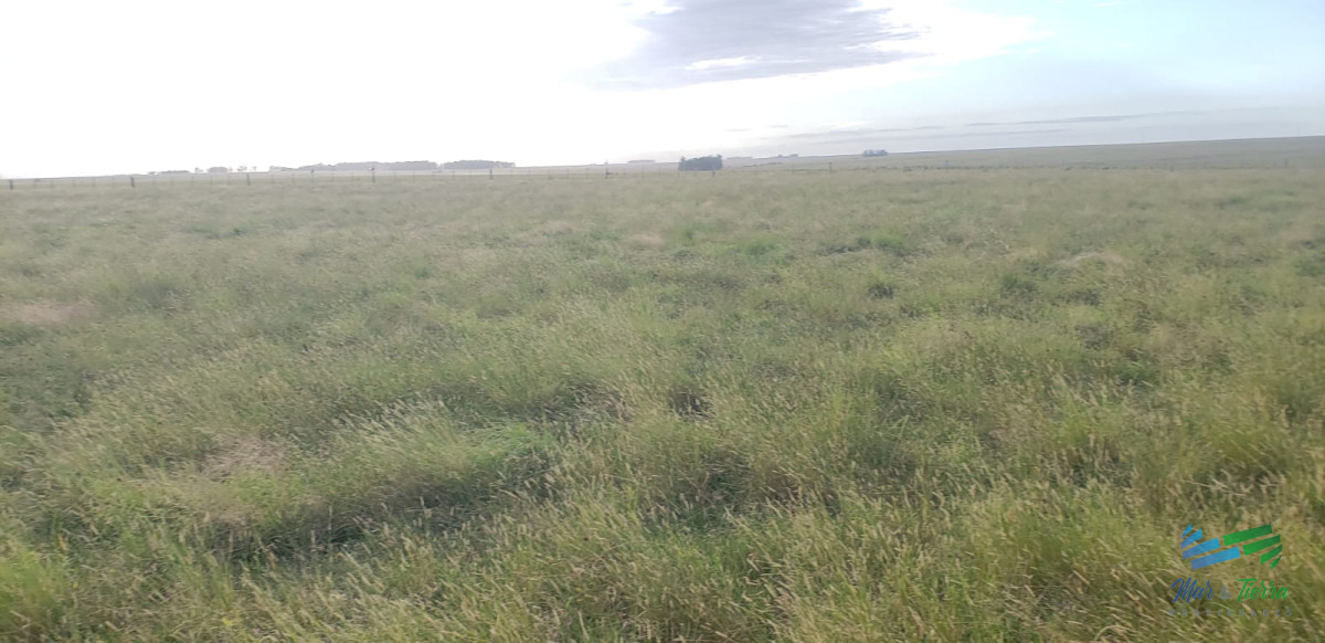 Campo Ref.5160 - 900 Has en Artigas, Estancia Completa